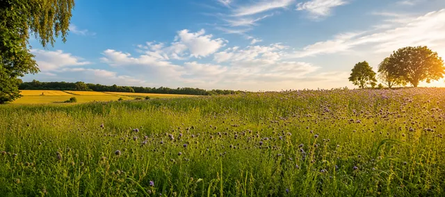 Weite Wiesenlandschaft in Nordhessen